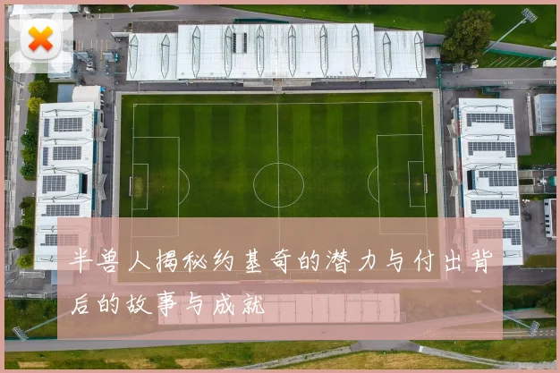 半兽人揭秘约基奇的潜力与付出背后的故事与成就