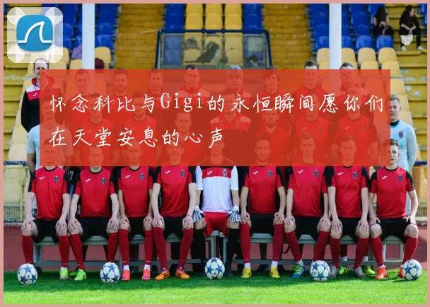 怀念科比与Gigi的永恒瞬间愿你们在天堂安息的心声