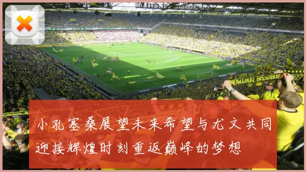 小孔塞桑展望未来希望与尤文共同迎接辉煌时刻重返巅峰的梦想