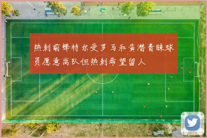 热刺前锋特尔受罗马和黄潜青睐球员愿意离队但热刺希望留人